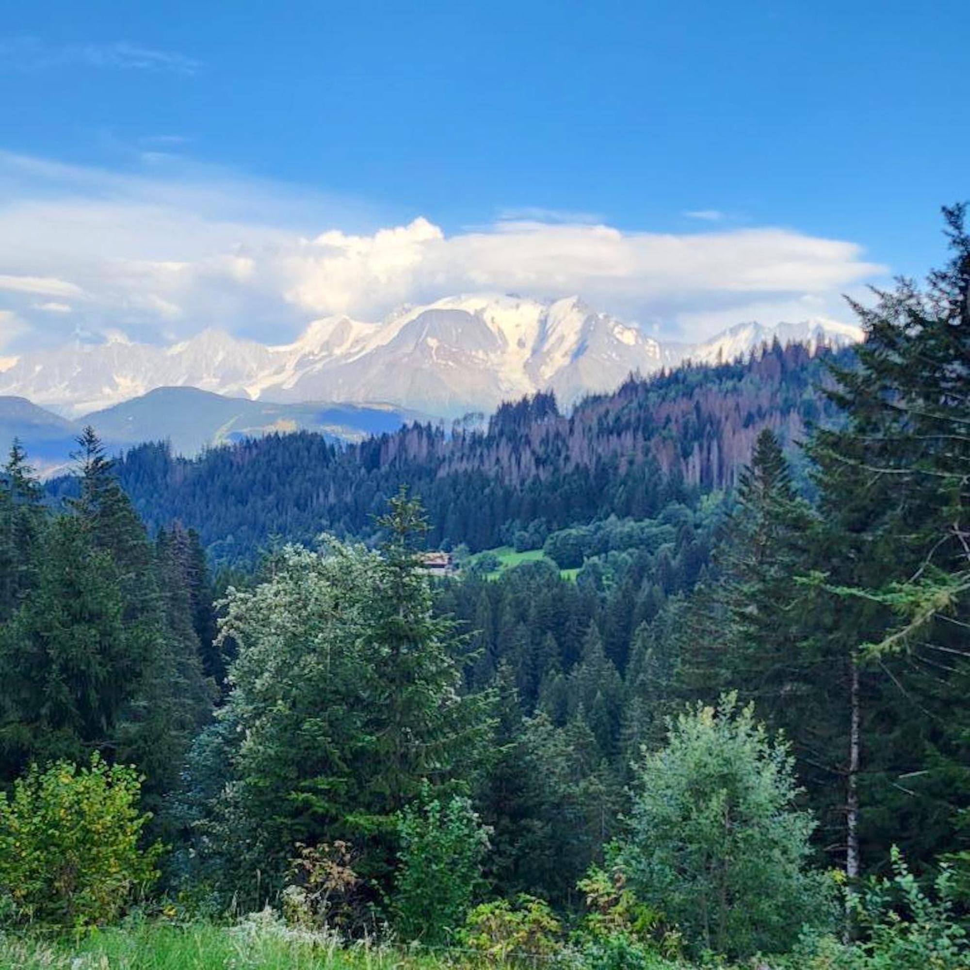 Studio Accueillant A Cordon Vue Mont Blanc 22 M² Parking Inclus Екстериор снимка